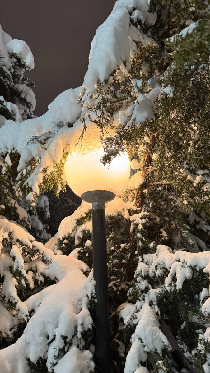 Краснодар в новогодние дни. 