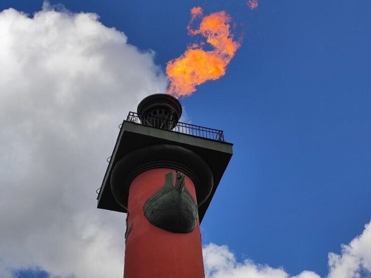     Факелы будут гореть с 10:00 до 12:00 и с 19:00 до 22:00. Фото: архив МК в Питере