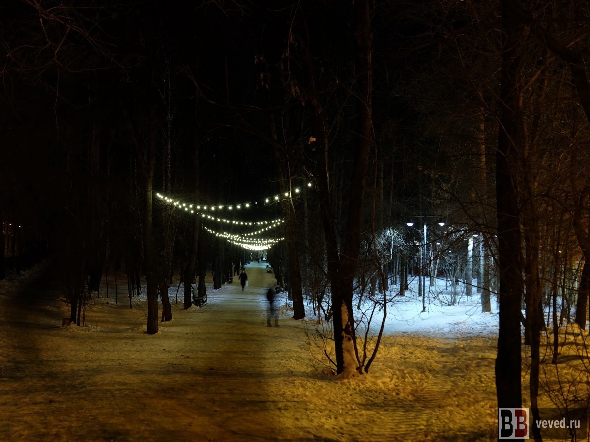     Фото: Владислав Постников / Вечерние Ведомости