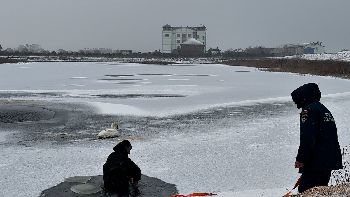    Фото: ТРК «Таврия»