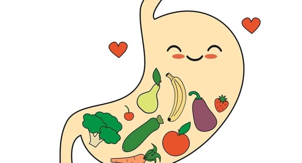 Здоровье ЖКТ после праздничных застолий