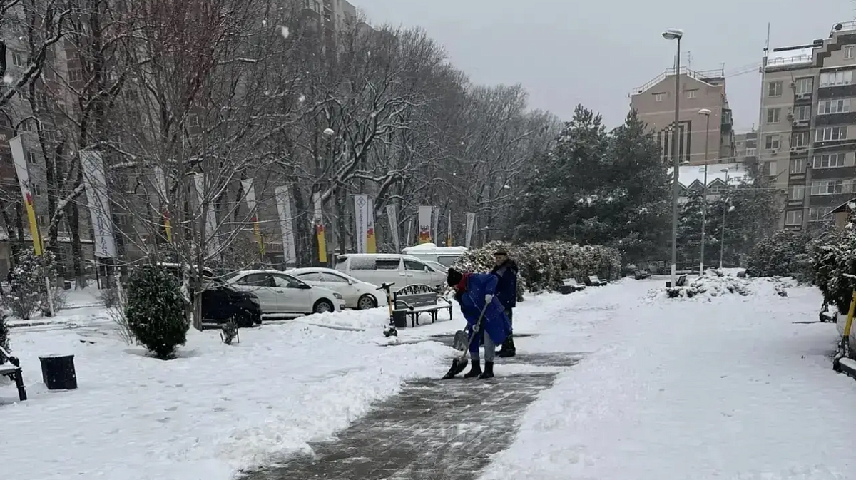 Фото: Пресс-служба администрации Краснодара