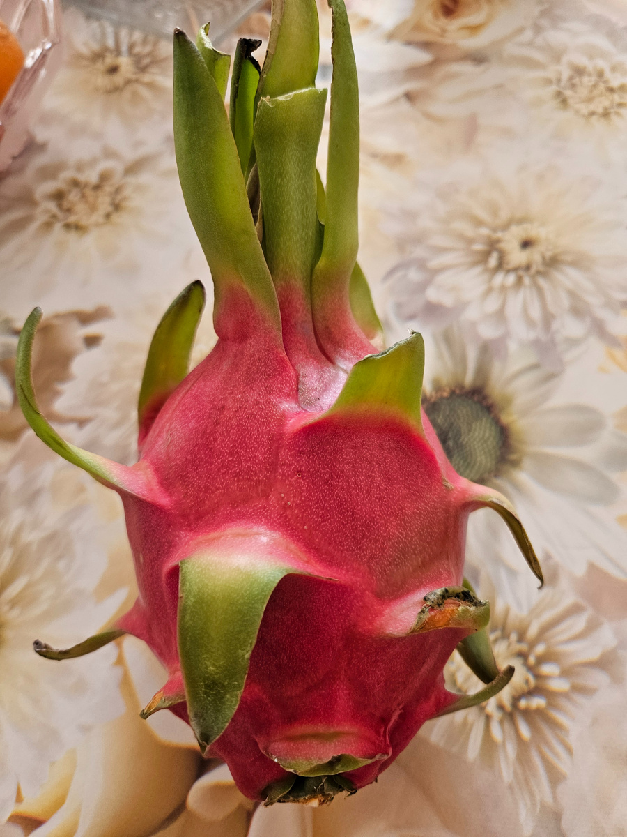 Драконий фрукт