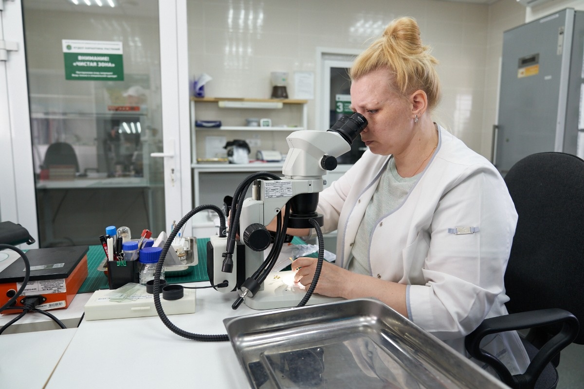    Фото: Лидия Аникина