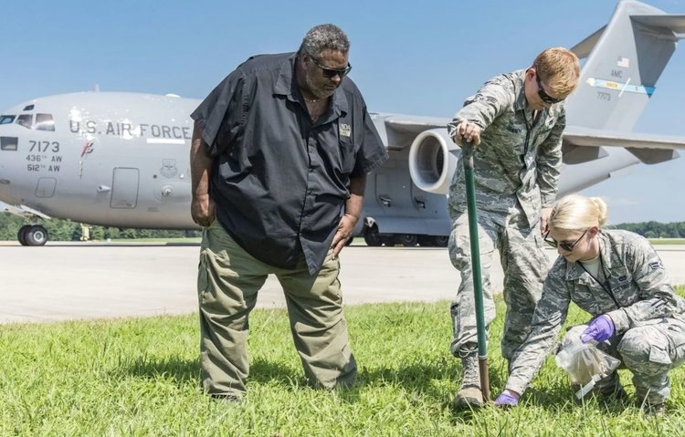 Против путешествующих насекомых-вредителей можно использовать биоконтрольные организмы в аэропортах