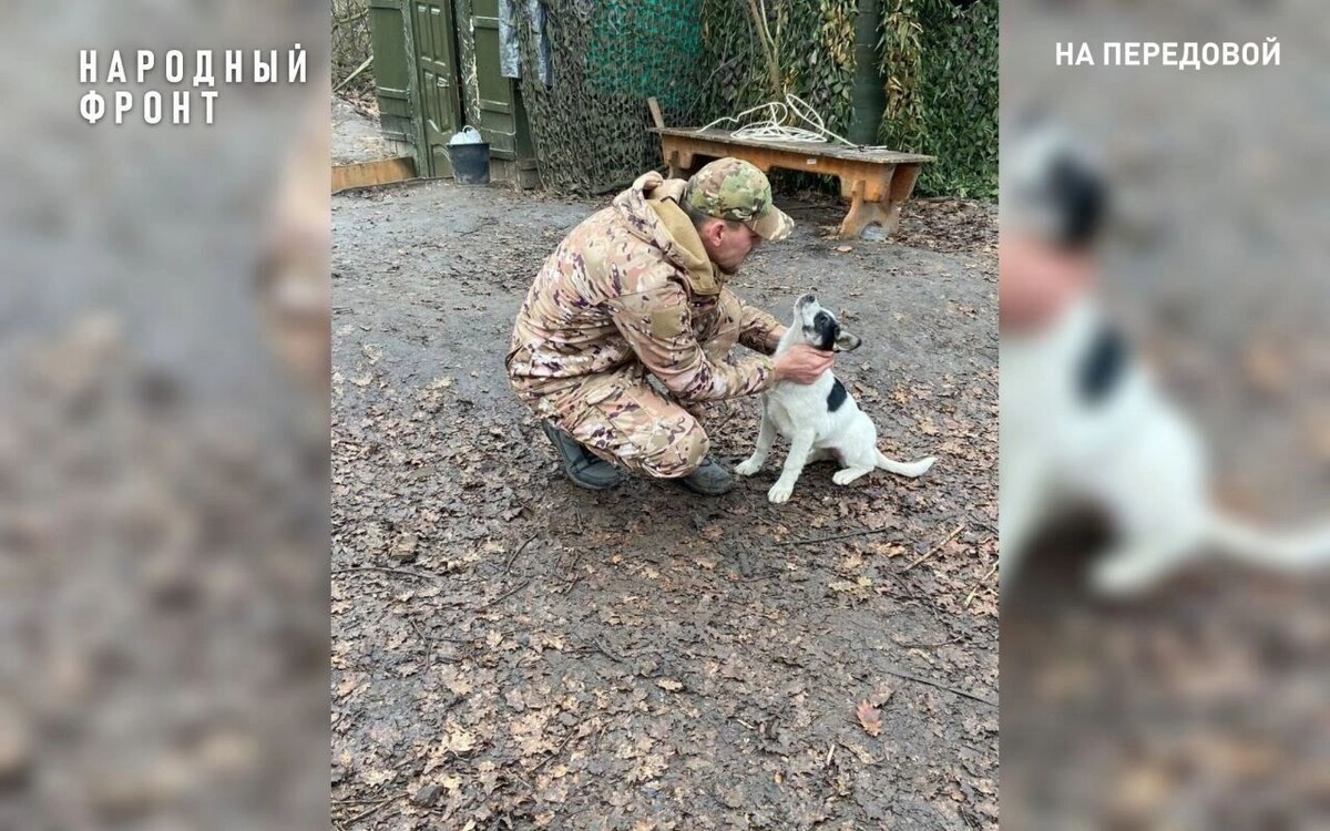   vk.com/Народный фронт Удмуртии