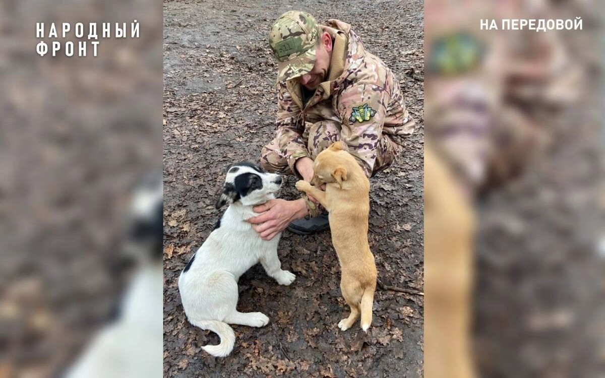   vk.com/Народный фронт Удмуртии