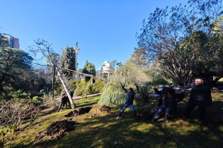 Фото и видео: t.me/mcusochi