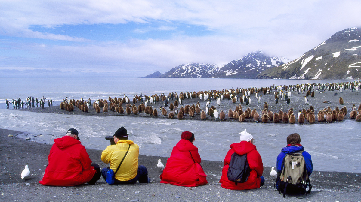     Фото: Science Photo Library/East News В разгар антарктического лета, с декабря по февраль, в Антарктиде царит относительно мягкая погода