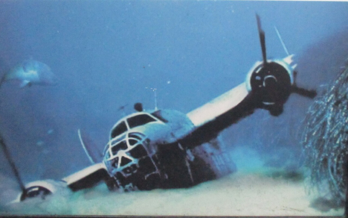 Самолет лежит на дне.