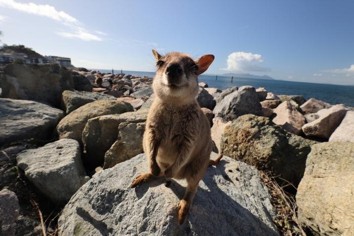 Обложка © Shutterstock / FOTODOM / Frank Fichtmueller