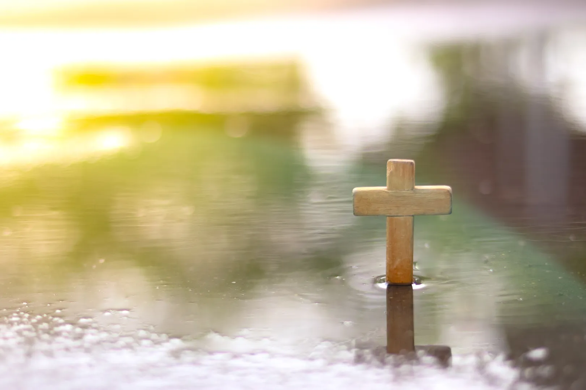 © Overdose Studio/ Shutterstock