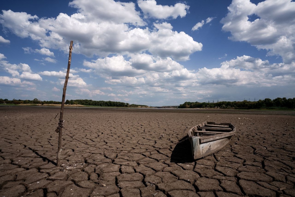    фото: Денис Григорюк