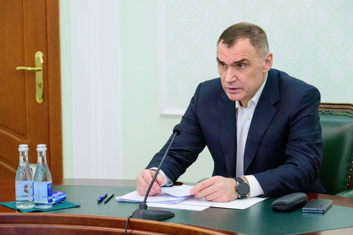 Фото Дениса Речкина / пресс-служба Главы Марий Эл