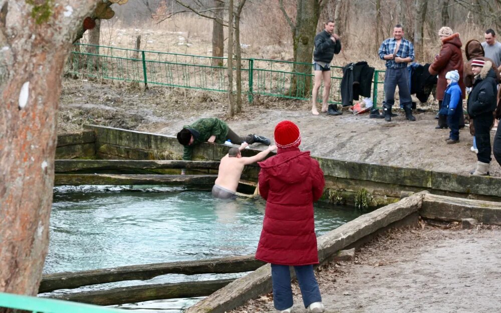    Фото: "Брянские новости"