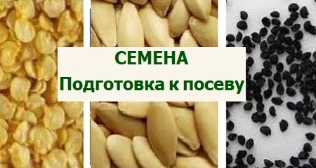 подготовка семян