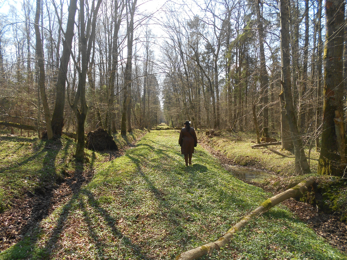 Варникен весной.