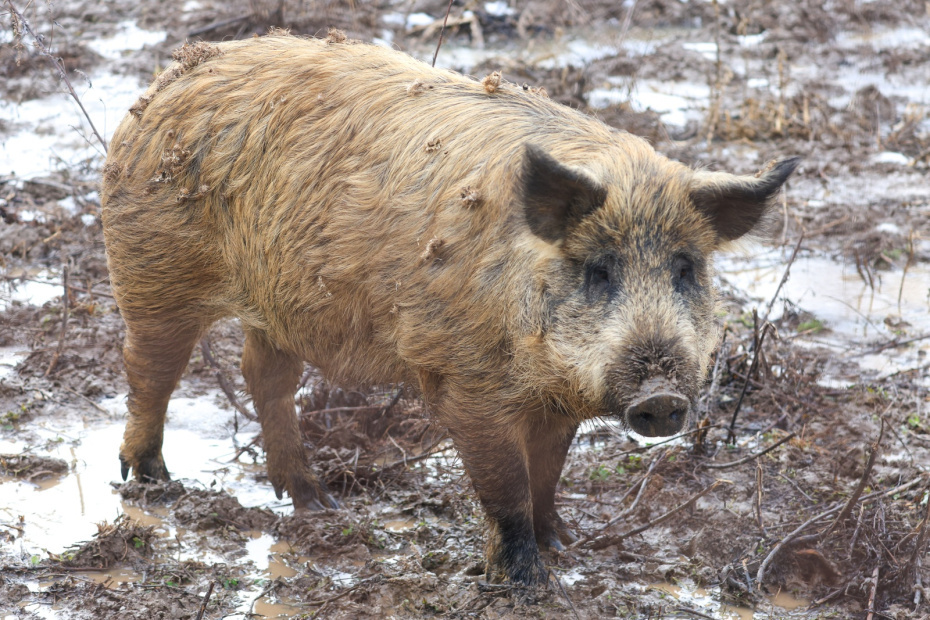    Наталья Шатохина/NEWS.ru