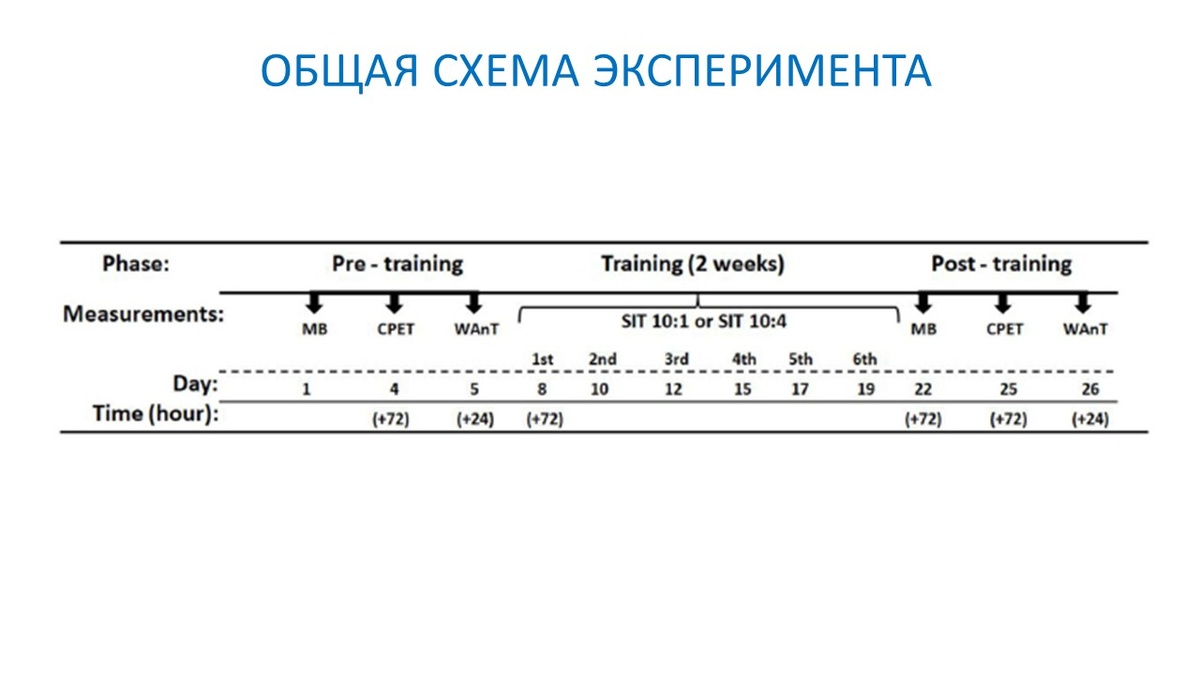 Рисунок 1. Организация эксперимента.