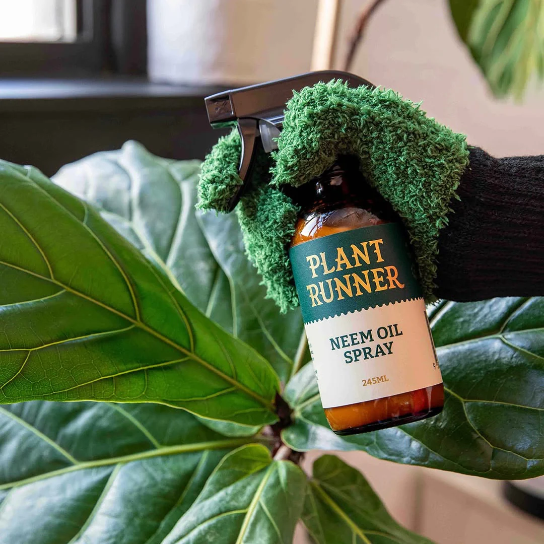 спрей для блеска листьев на основе масла ниим