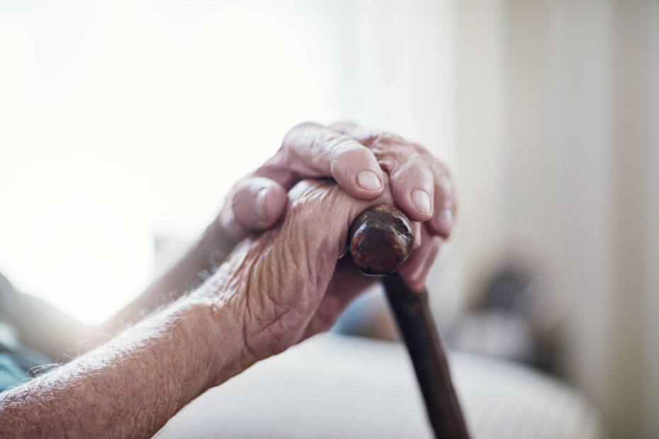    Shutterstock/FOTODOM