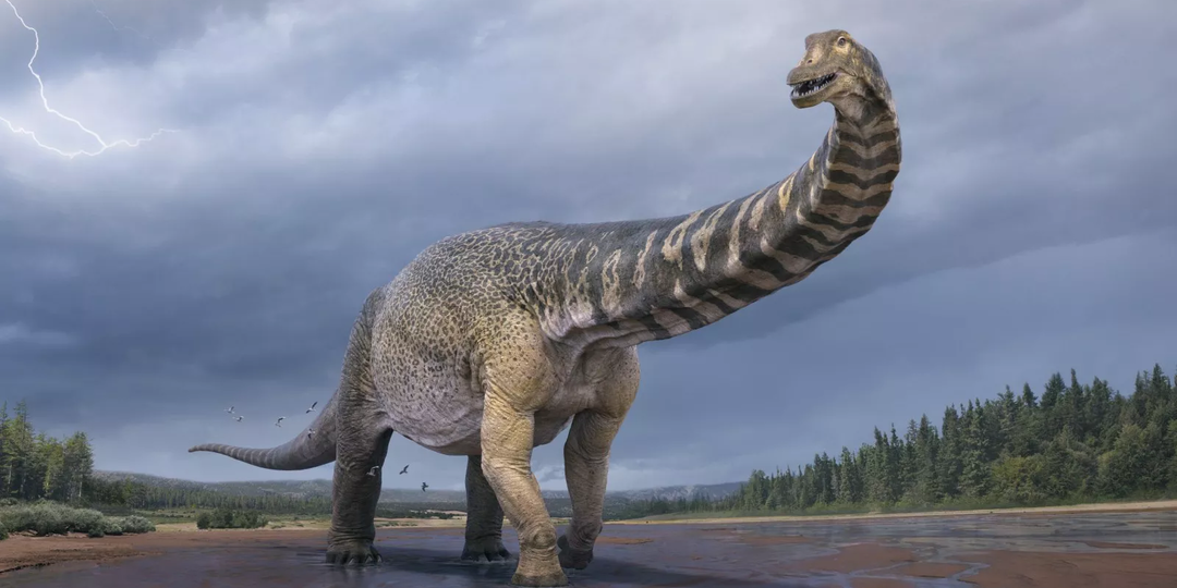 Чудовища мелового периода. Часть 2