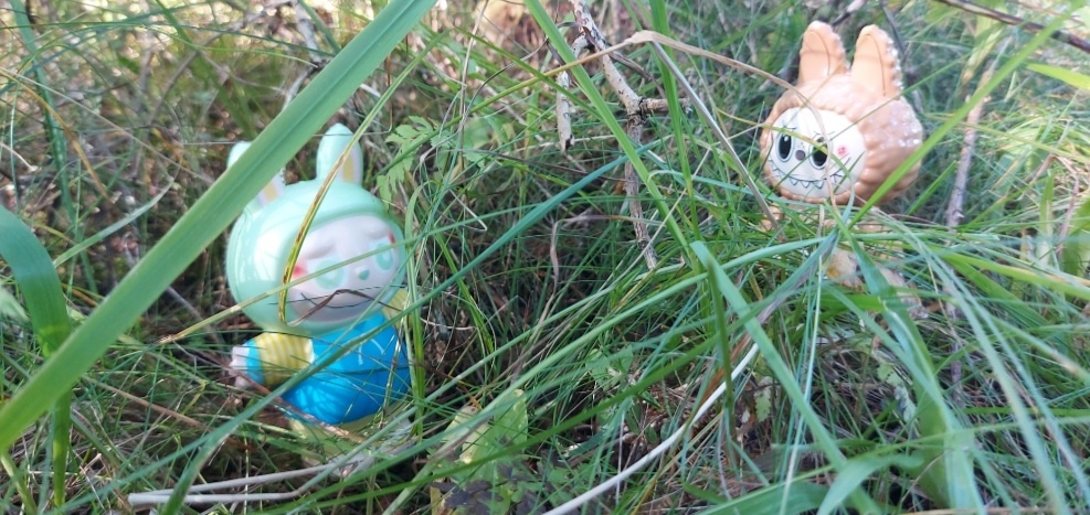 Розочка и кто-то еще непонятный, но очень на неё похожий. Фото автора канала.