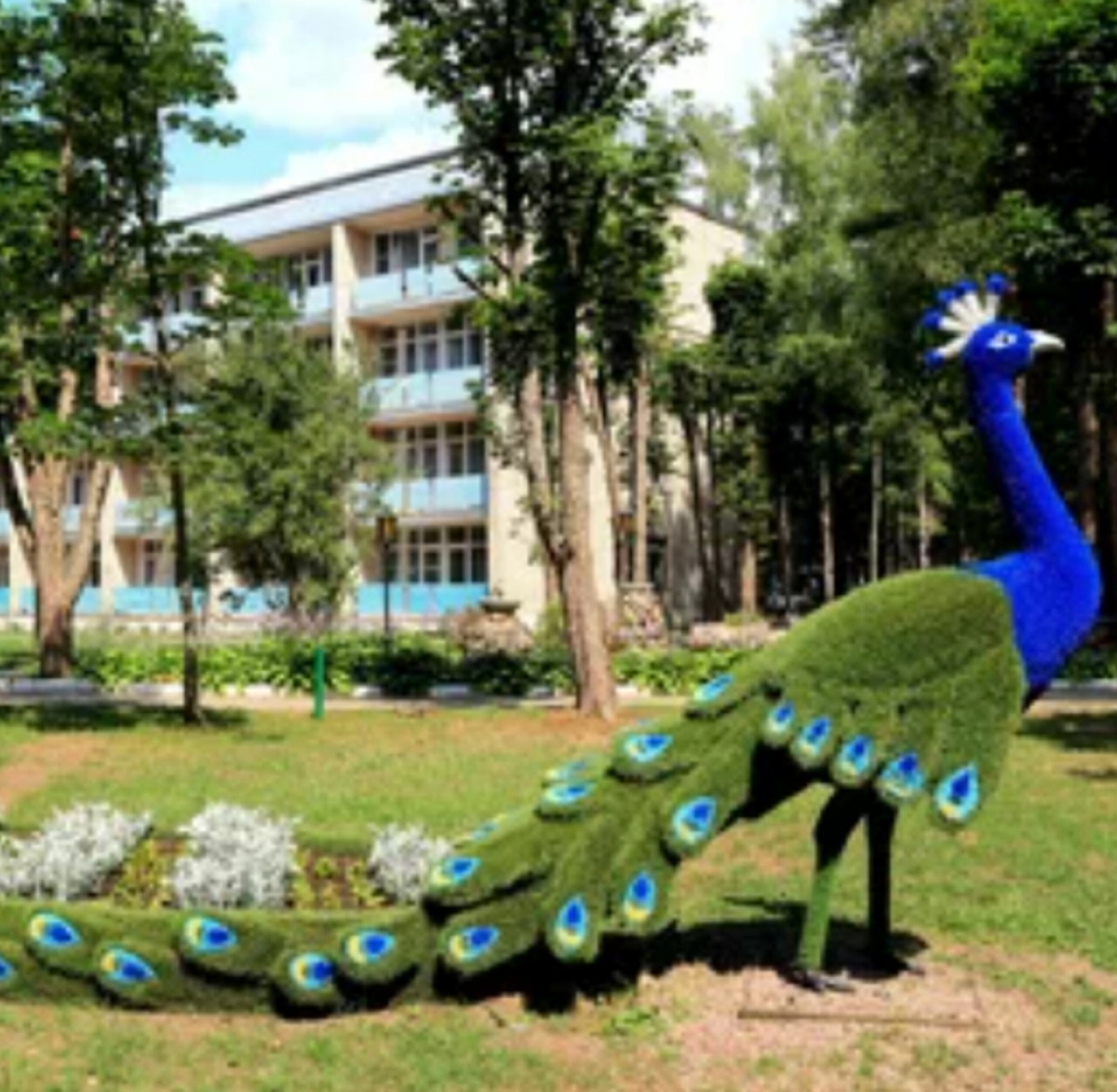 Санаторий Летцы