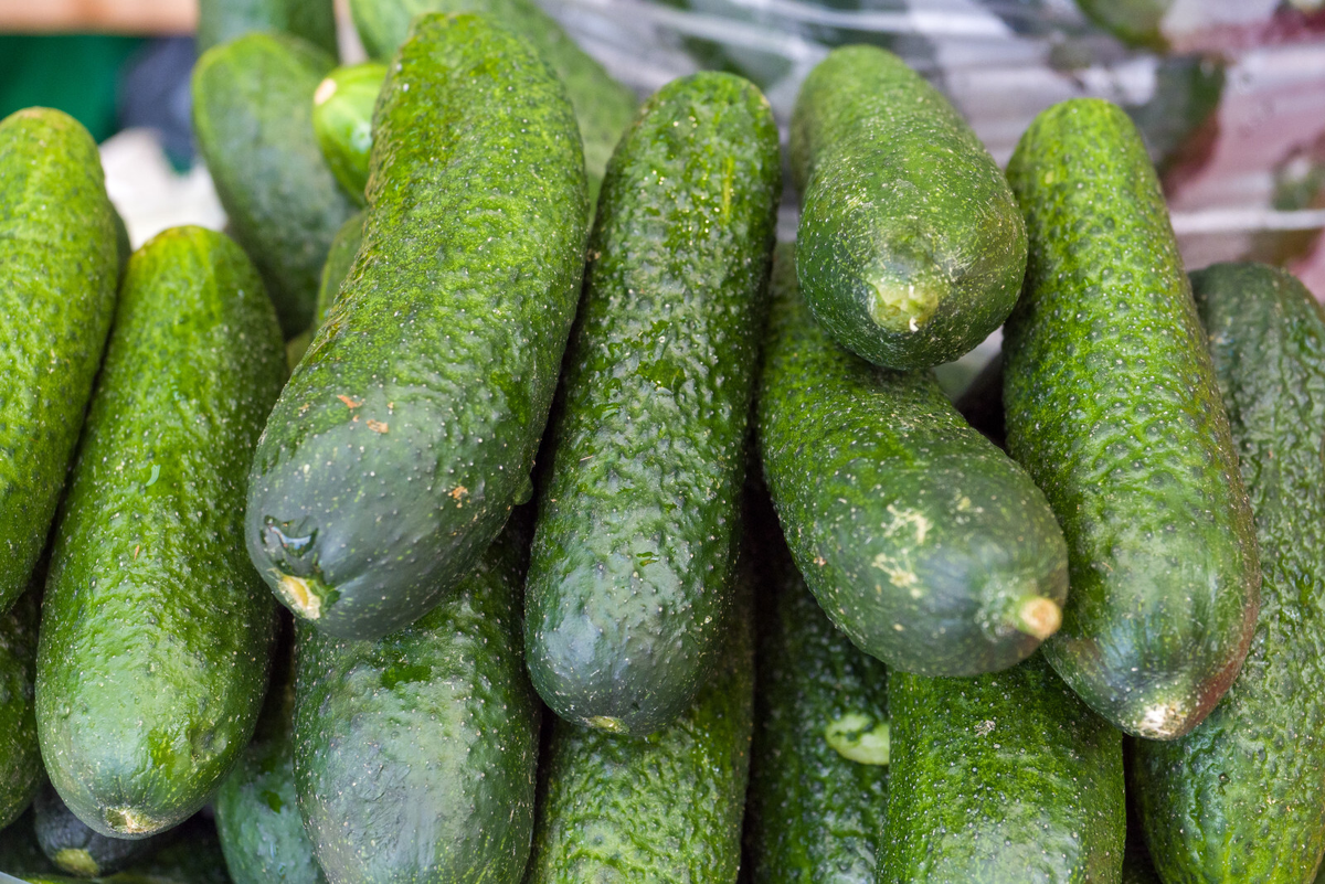 Фото: Олег Золото / «Петербургский дневник»
