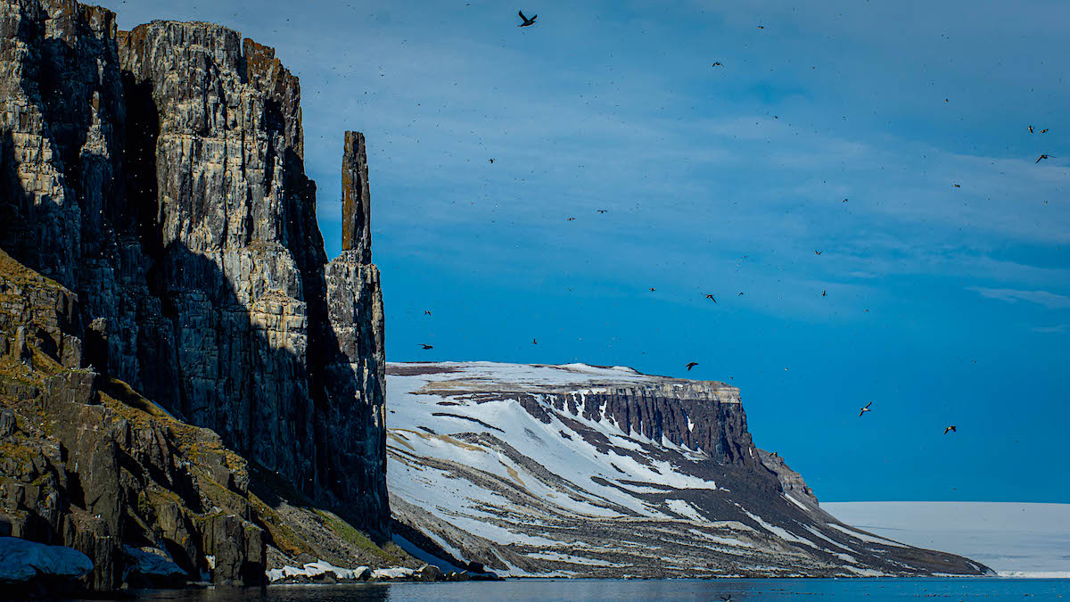 Шпицберген. Фото: Александр Романовский. Источник: Фотобанк ПОРА