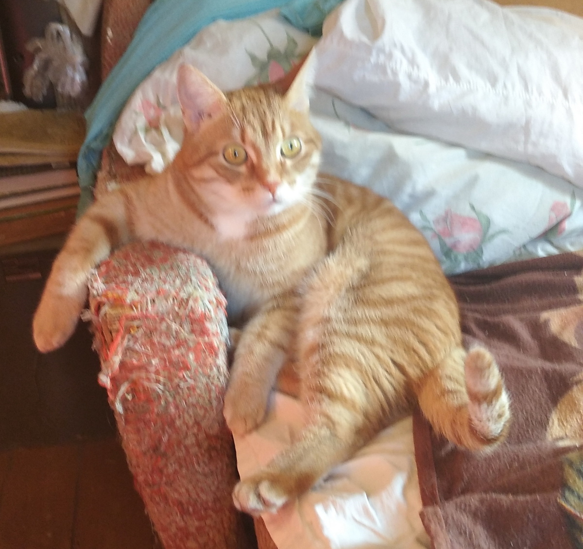 Личное фото