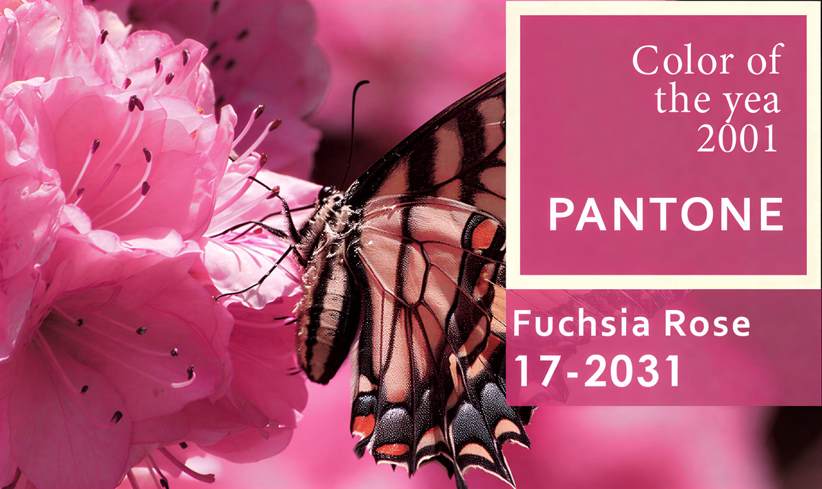 Fuchsia Rose (Розовая Фуксия) = Затопление космической станции «Мир» : в 2000 году было принято решение о контролируемом сведении с орбиты легендарной российской космической станции «Мир» (выполнено в 2001 году), символизирующее конец эпохи в пилотируемой космонавтике.