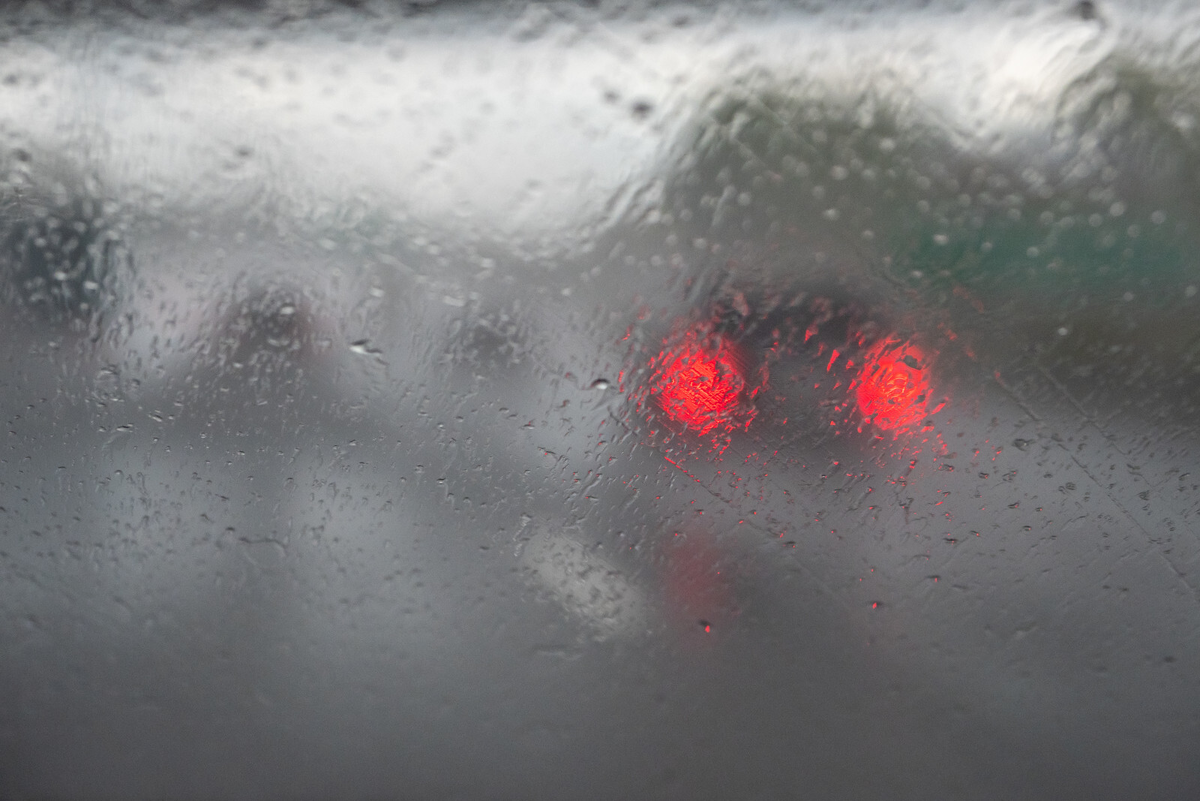 Фото: Олег Золото / «Петербургский дневник»