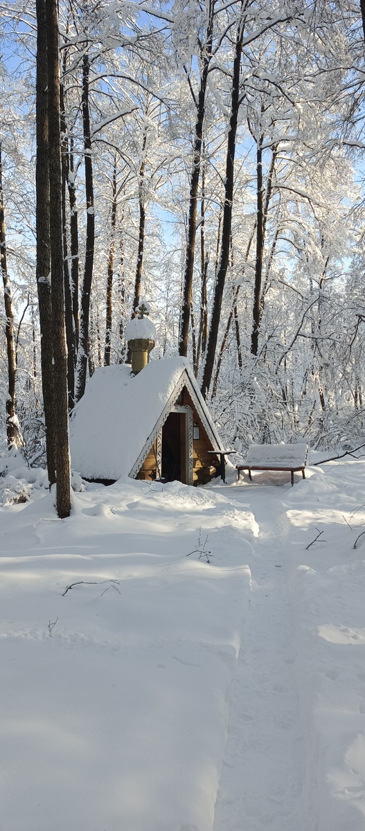 Фото автора статьи. Наш родник.