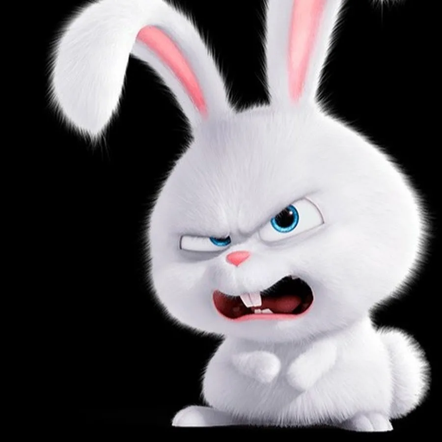 Фото взято из открытого источника