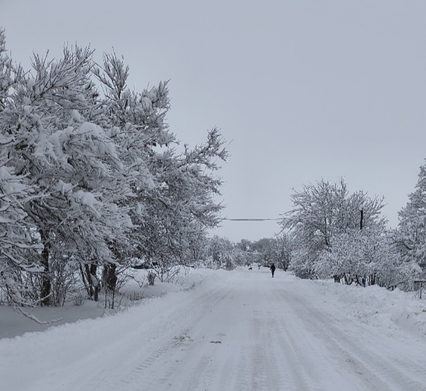 Уже после обеда почистили