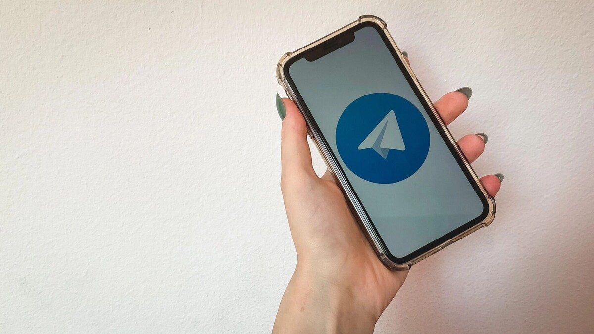    Нижегородцам расскказали о судьбе Telegram   1MI