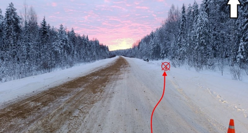    Фото Управления Госавтоинспекции по Республике Коми