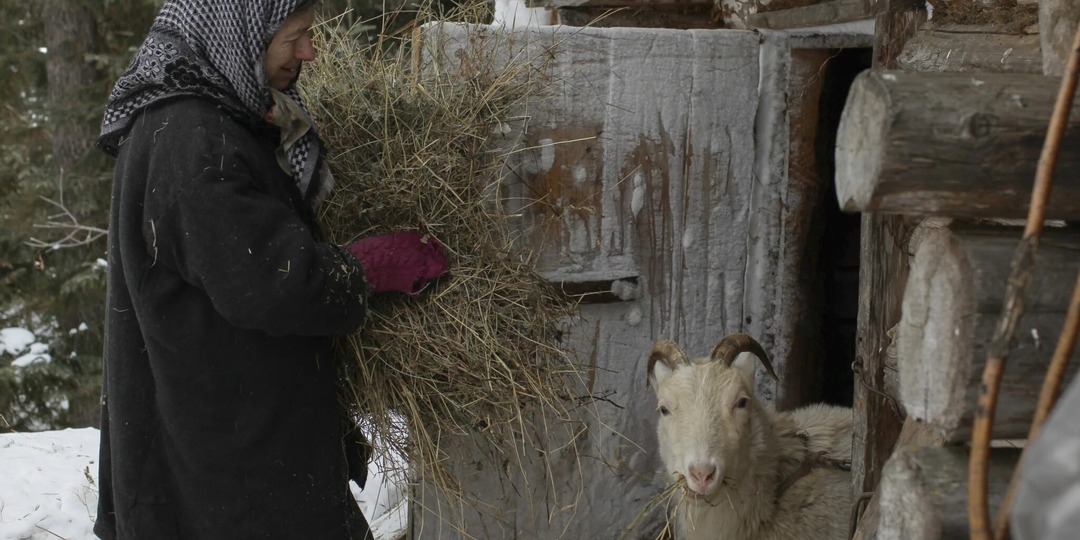 Агафья Лыкова рассказывает о своём быте. Основано на реальных фактах