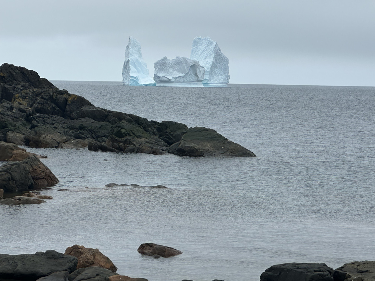 Айсберги. Фото предоставлено участниками проекта