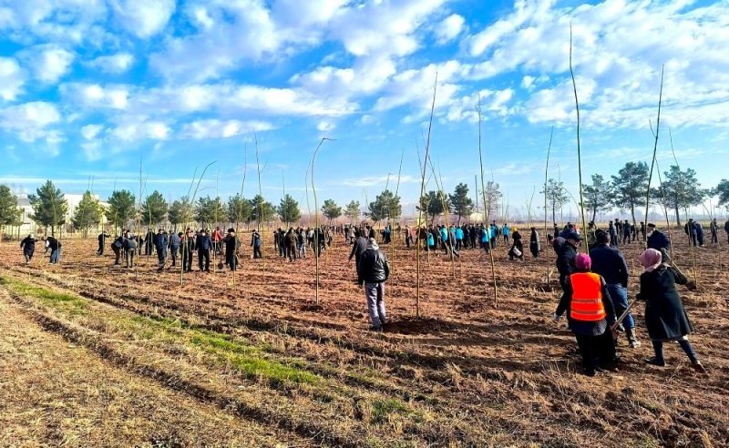 ФОТО: Исполнительный орган государственной власти города Гиссар