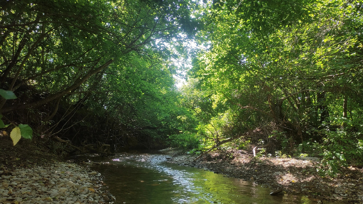 Река Бурульча - лето 2024