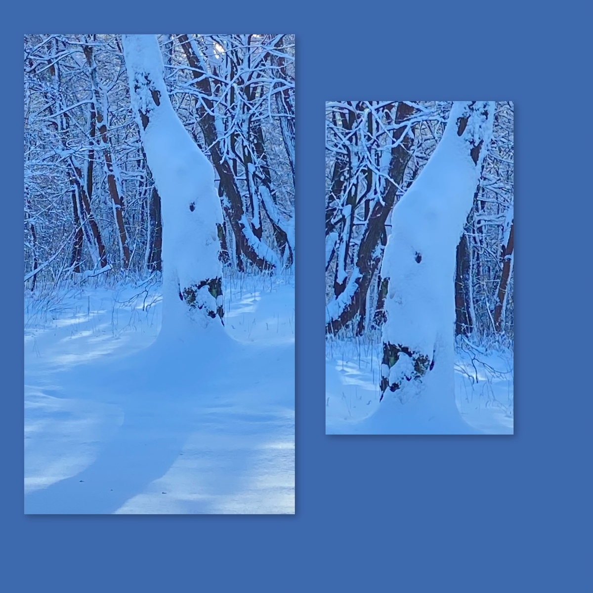 Воображение автора 