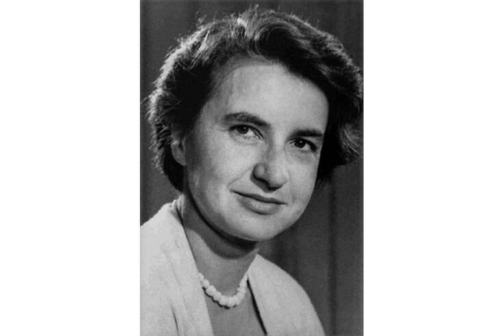 https://au.pinterest.com/pin/rosalind-franklin-when-the-double-helix-structure-of-dna-was-discovered-scientists-claimed-that-they-had-unravel--466404105159237222/