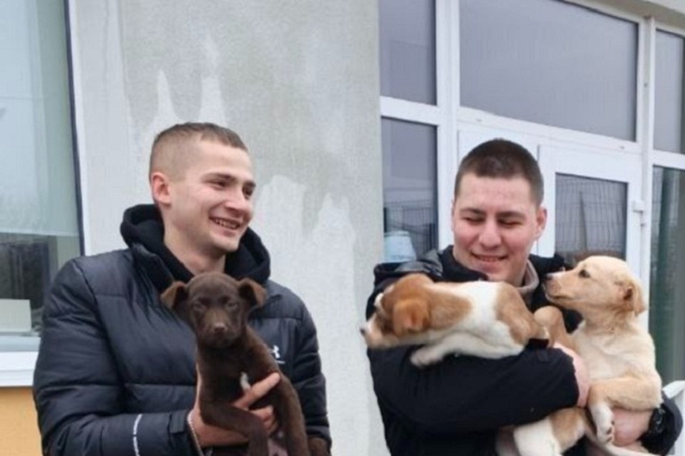    С начала года 7 питомцев приюта уже обрели новый дом и живут в любящих семьях. Фото: Администрация Донецка