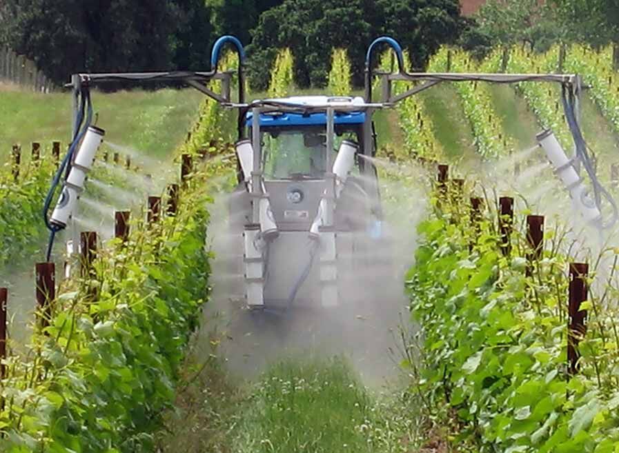 Использование элементарной серы на виноградниках by Caxap and Wine