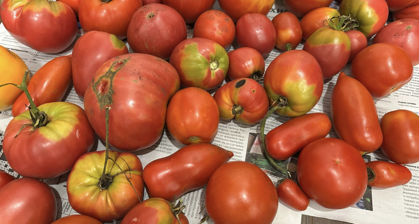    Фооо: ПроГород