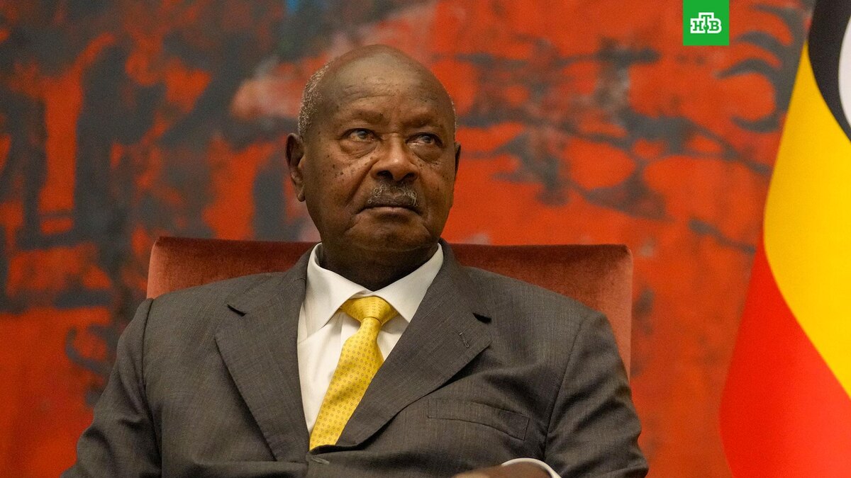    Фото: Associated Press © 2026, Darko Vojinovic