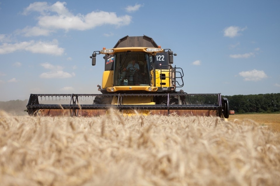    В Ростовской области на поддержку аграриев направили 268 млн рублей. Дмитрий АХМАДУЛЛИН