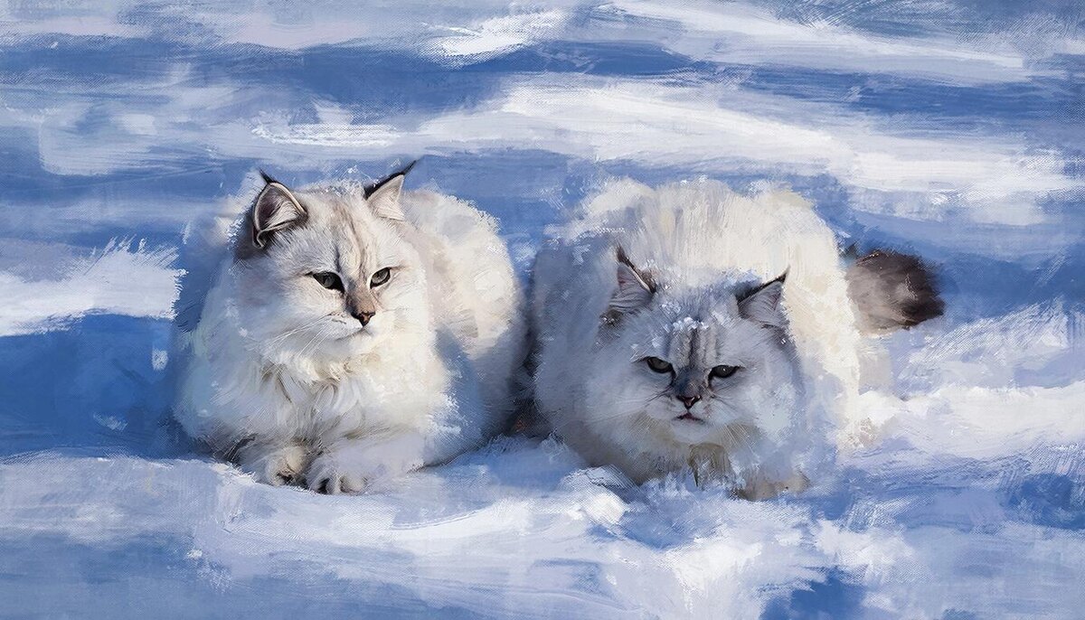 «День снежных котов» - 17 января